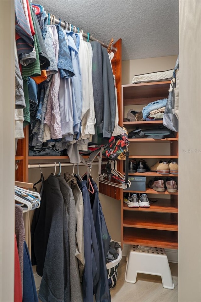 27318 Sora Blvd, Wesley Chapel, FL 33544 - spacious closet featuring wood finished floors