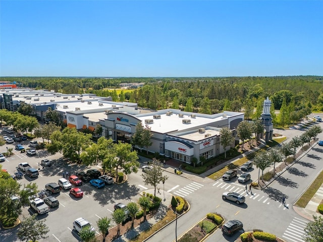 27318 Sora Blvd, Wesley Chapel, FL 33544 - birds eye view of property with a forest view