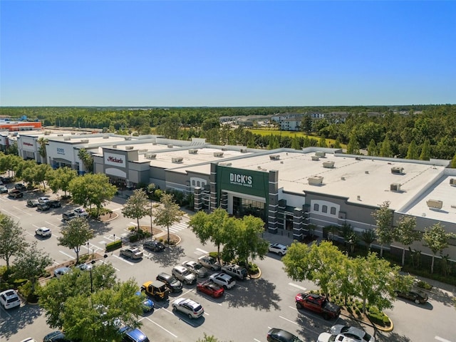27318 Sora Blvd, Wesley Chapel, FL 33544 - aerial view