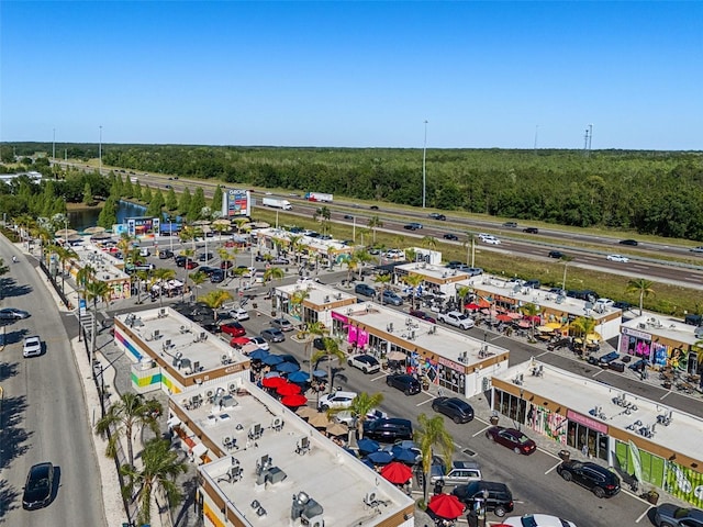 27318 Sora Blvd, Wesley Chapel, FL 33544 - aerial view