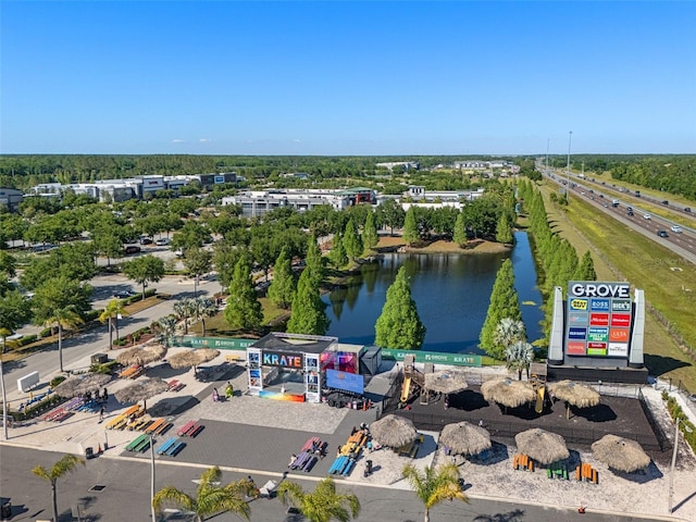27318 Sora Blvd, Wesley Chapel, FL 33544 - bird's eye view featuring a water view