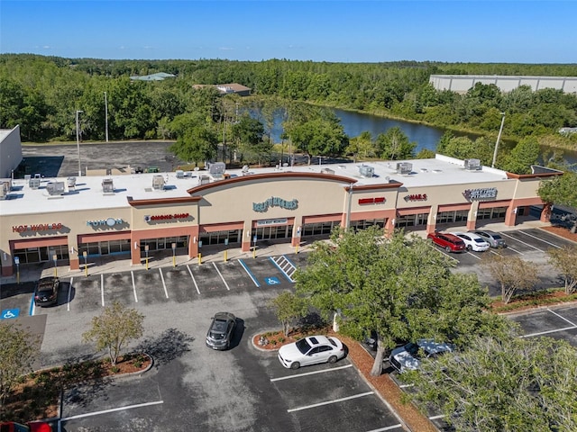 27318 Sora Blvd, Wesley Chapel, FL 33544 - birds eye view of property with a wooded view and a water view