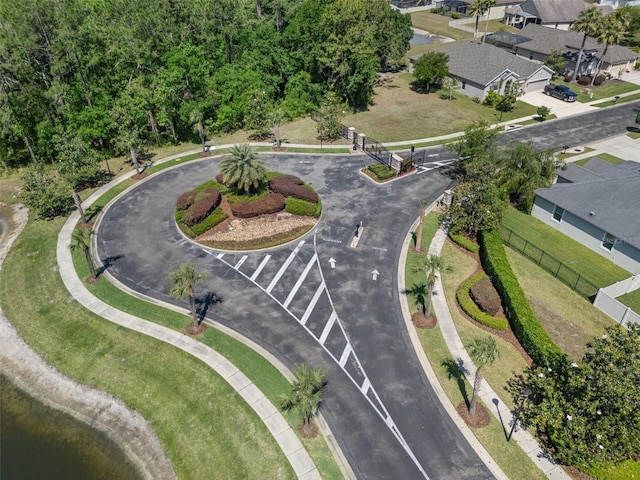 27318 Sora Blvd, Wesley Chapel, FL 33544 - birds eye view of property