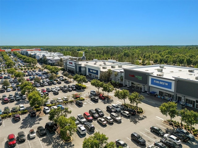 27318 Sora Blvd, Wesley Chapel, FL 33544 - aerial view with a view of trees