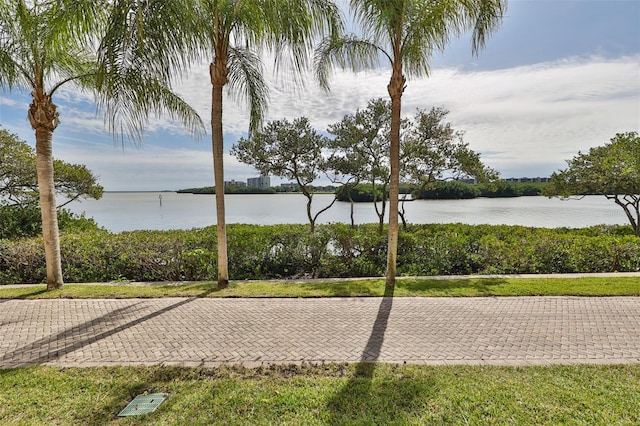 2739 Via Capri Unit 1024, Clearwater, FL 33764 - water view