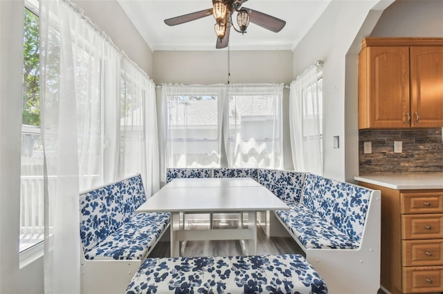 interior space with a ceiling fan, a healthy amount of sunlight, and wood finished floors
