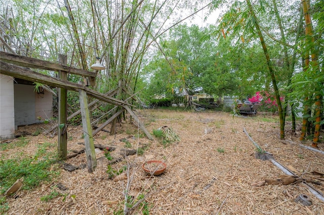3027 W Helen Ave, Tampa, FL 33611 - view of yard