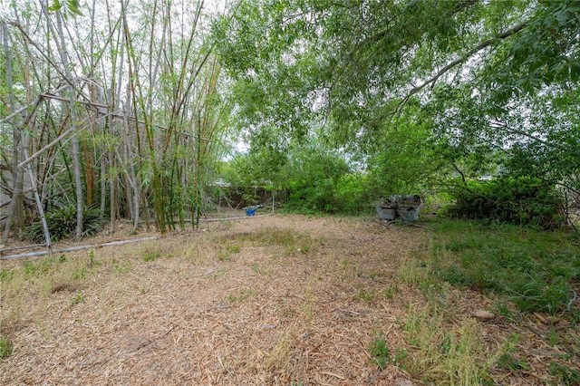 3027 W Helen Ave, Tampa, FL 33611 - view of yard