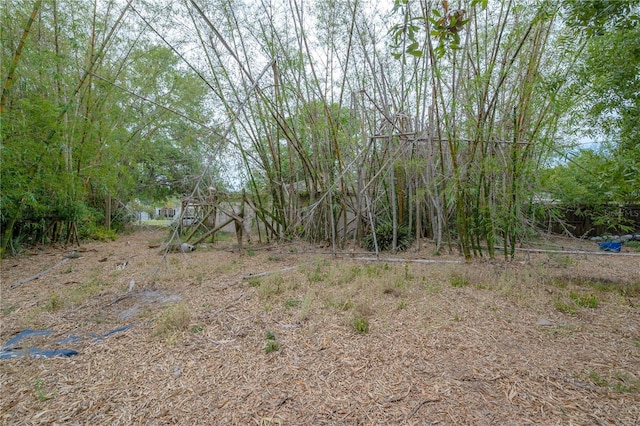 3027 W Helen Ave, Tampa, FL 33611 - view of yard