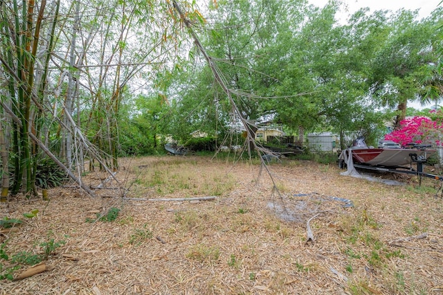 3027 W Helen Ave, Tampa, FL 33611 - view of yard
