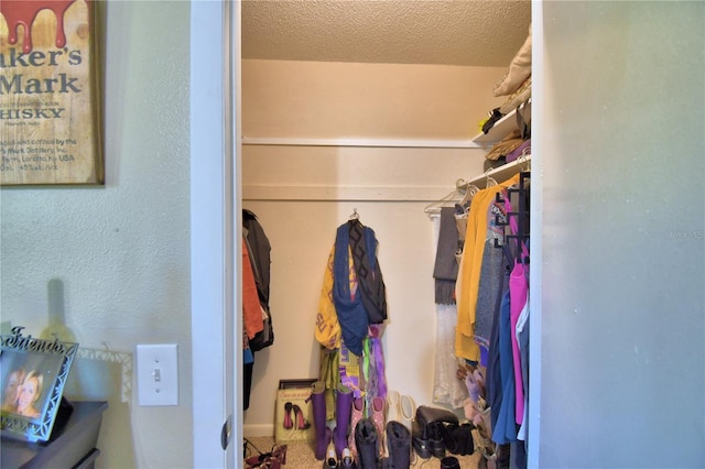 53 Paine Dr, Winter Haven, FL 33884 - spacious closet featuring carpet flooring