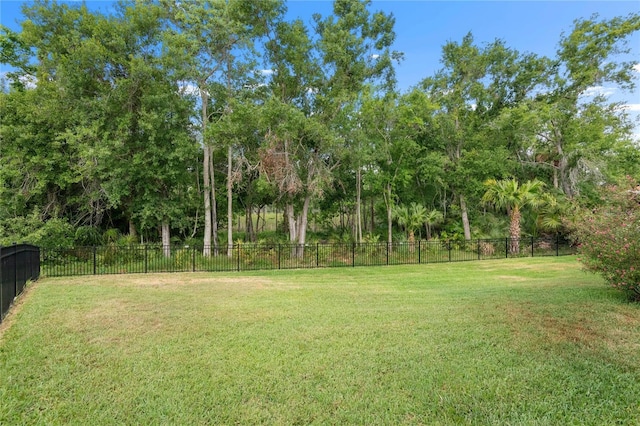 17206 Emerald Chase Dr, Tampa, FL 33647 - view of yard with fence