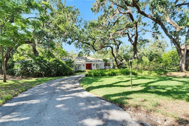 1603 Cottagewood Dr, Brandon, FL 33510 - view of front of property with a front lawn and aphalt driveway