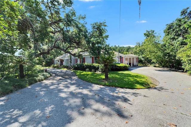 1603 Cottagewood Dr, Brandon, FL 33510 - view of property hidden behind natural elements featuring a front yard and curved driveway