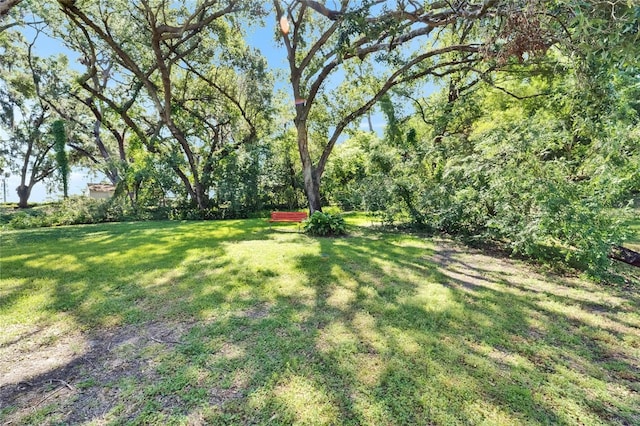 1603 Cottagewood Dr, Brandon, FL 33510 - view of yard