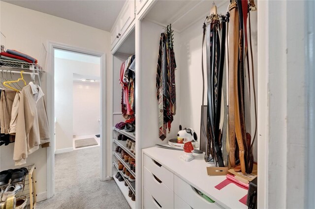 1603 Cottagewood Dr, Brandon, FL 33510 - spacious closet with light colored carpet