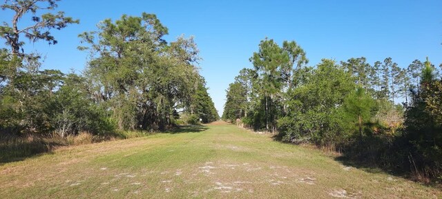 307 Indian Lake Dr, Indian Lake Estates, FL 33855 - photo 32