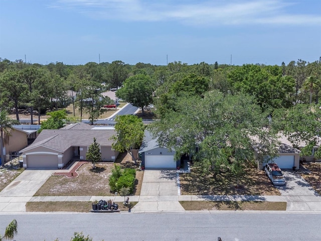 1428 Chesterfield Dr, Dunedin, FL 34698 - photo 38