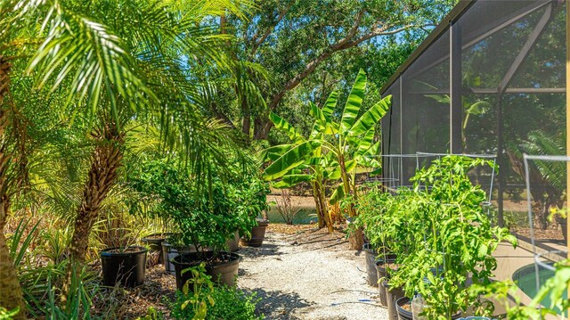 6148 Bonaventure Ct, Sarasota, FL 34243 - view of yard featuring a vegetable garden and glass enclosure