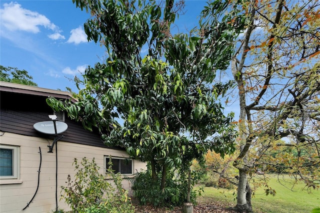 view of property exterior with a yard