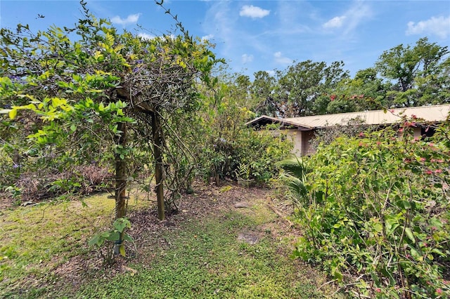 view of yard