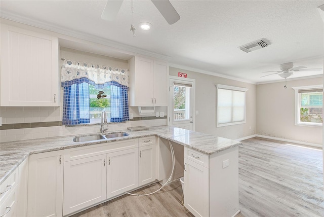 kitchen with a sink, tasteful backsplash, crown molding, a ceiling fan, and white cabinetry