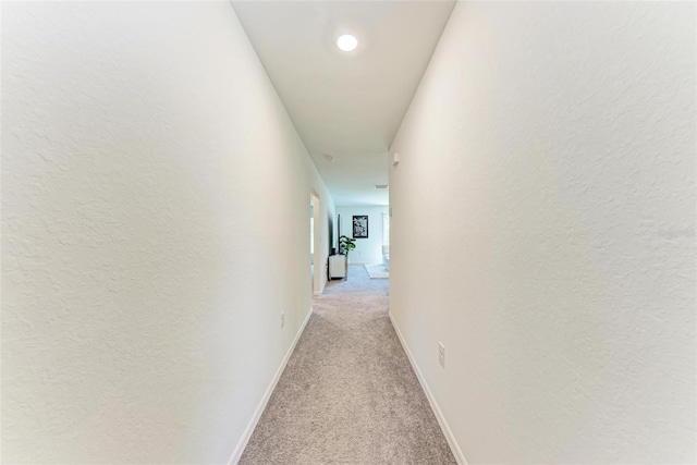 3879 E Price Blvd, North Port, FL 34288 - hallway with light carpet and baseboards