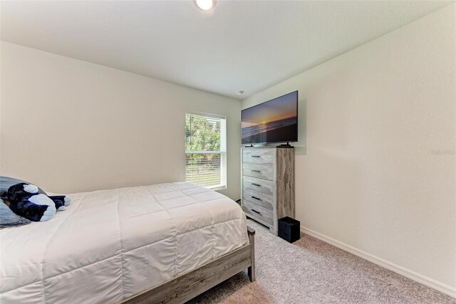 3879 E Price Blvd, North Port, FL 34288 - carpeted bedroom with baseboards