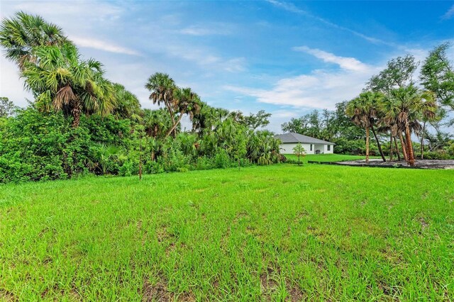 3879 E Price Blvd, North Port, FL 34288 - view of yard