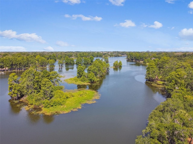 422 Dunedin Cir, Temple Terrace, FL 33617 - drone / aerial view featuring a water view and a view of trees
