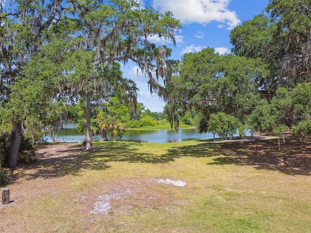 422 Dunedin Cir, Temple Terrace, FL 33617 - view of yard with a water view