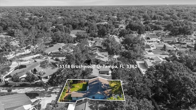 15118 Brushwood Dr, Tampa, FL 33624 - aerial view of residential area with a heavily wooded area and property parcel outlined
