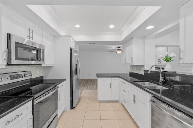 15118 Brushwood Dr, Tampa, FL 33624 - kitchen with appliances with stainless steel finishes, a ceiling fan, a sink, a tray ceiling, and crown molding