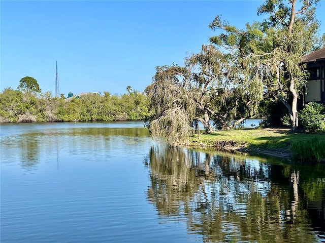 825 S Village Dr N Unit 201, Saint Petersburg, FL 33716 - water view