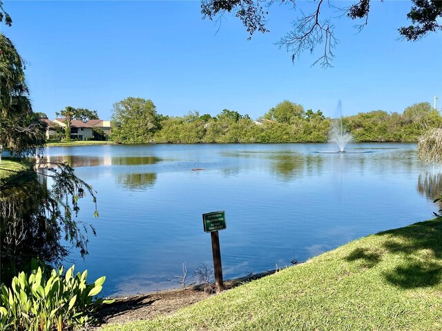 825 S Village Dr N Unit 201, Saint Petersburg, FL 33716 - water view