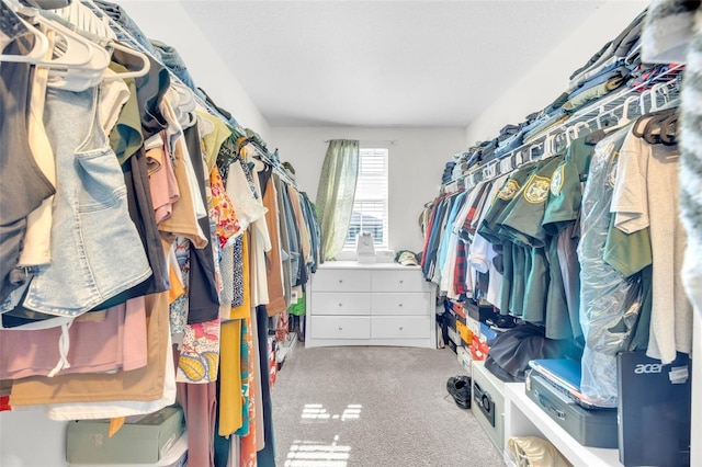 walk in closet with carpet flooring