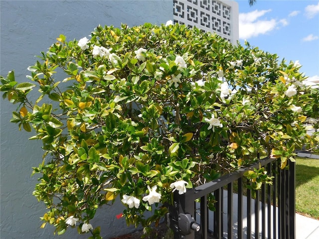 4715 Bay St NE Unit 119, Saint Petersburg, FL 33703 - details with fence