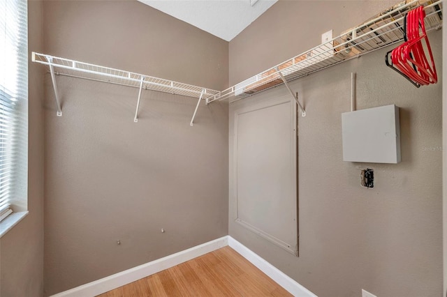 13777 Forest Lake Dr, Largo, FL 33771 - walk in closet with light wood-style flooring