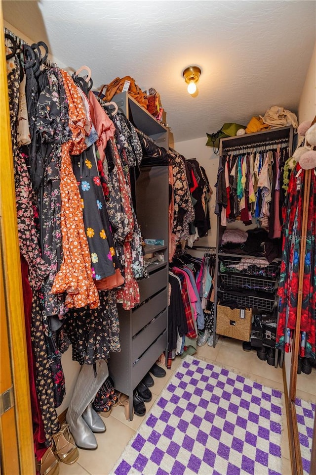 35109 Excalibur, Webster, FL 33597 - view of spacious closet