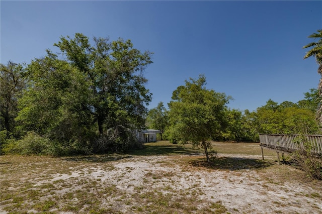 35109 Excalibur, Webster, FL 33597 - view of yard