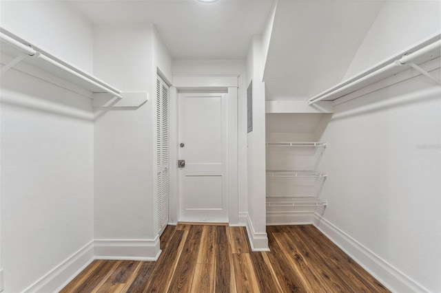 307 S Newport Ave, Tampa, FL 33606 - spacious closet featuring dark wood-style floors