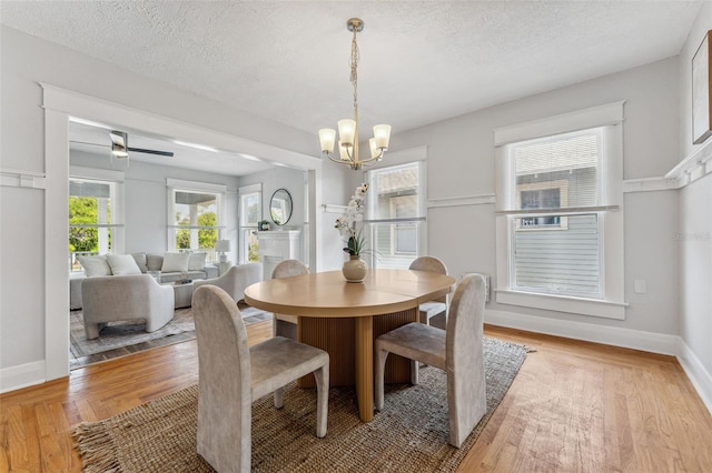 307 S Newport Ave, Tampa, FL 33606 - dining area with light wood-type flooring, plenty of natural light, and a notable chandelier