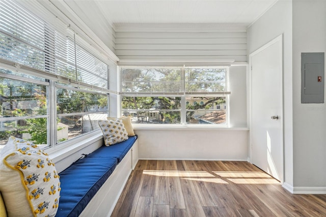 307 S Newport Ave, Tampa, FL 33606 - sunroom / solarium featuring electric panel and a healthy amount of sunlight