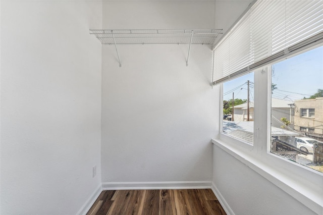 307 S Newport Ave, Tampa, FL 33606 - walk in closet featuring dark wood-style floors