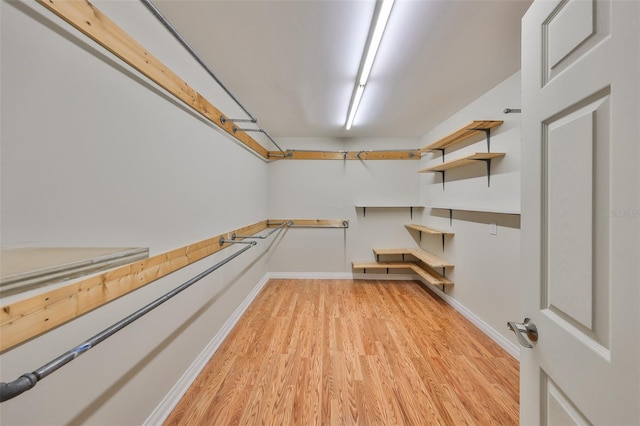 2802 Old Bayshore Way, Tampa, FL 33611 - spacious closet with light wood-style floors