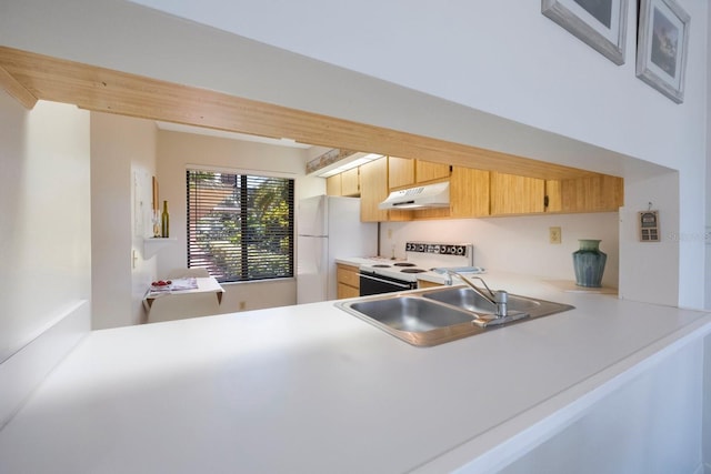 6357 Bahia Del Mar Blvd Unit 111, Saint Petersburg, FL 33715 - kitchen with light brown cabinetry, white appliances, light countertops, under cabinet range hood, and a sink