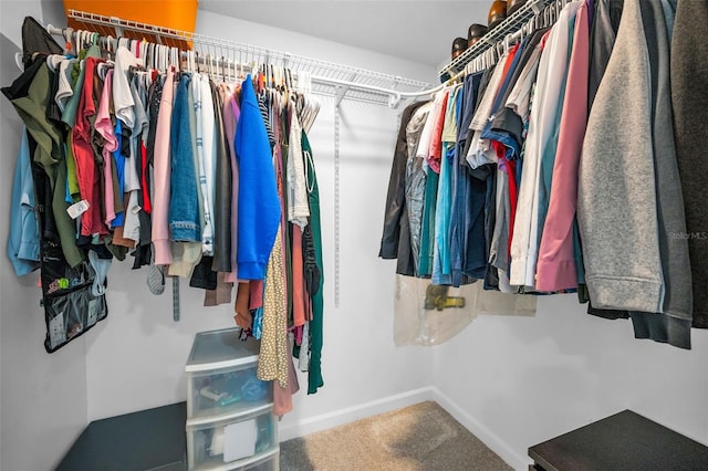 613 Valley Hill Dr, Brandon, FL 33510 - walk in closet with carpet flooring