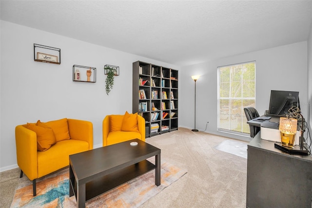 613 Valley Hill Dr, Brandon, FL 33510 - carpeted home office featuring baseboards
