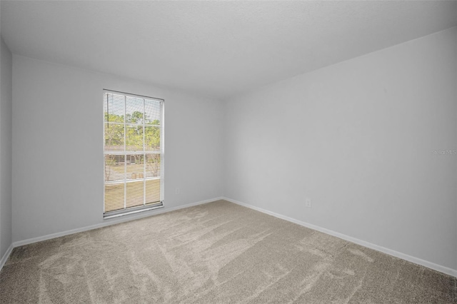 613 Valley Hill Dr, Brandon, FL 33510 - spare room featuring carpet flooring and baseboards