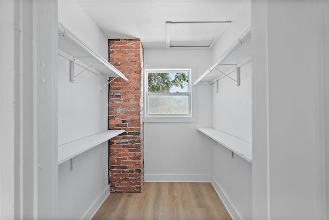 3000 19th Ave S, Saint Petersburg, FL 33712 - walk in closet with wood finished floors and attic access